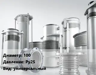 Компенсатор 100 Ру25 универсальный